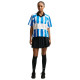 Nike Γυναικεία φούστα Sportswear Pleated Skirt